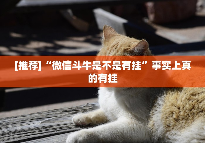 一分钟讲解“白金岛手游放炮罚有挂吗”详细开挂玩法