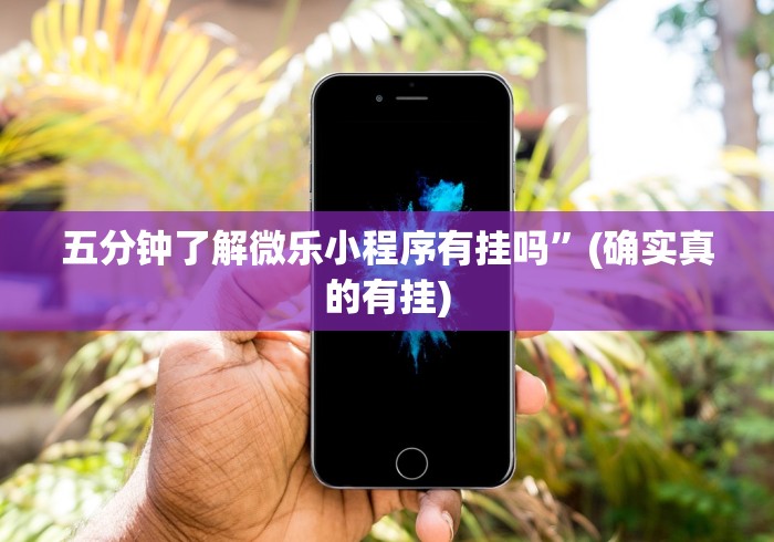 玩家辅助神器“微乐麻将三丁拐开挂”开挂辅助详细步骤