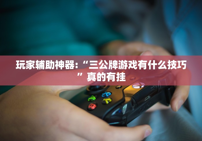 玩家辅助神器:“三公牌游戏有什么技巧”真的有挂