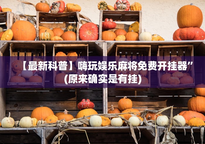 推荐辅助使用‘微乐石家庄麻将怎么提高胜率”辅助工具插件,揭秘技巧开挂