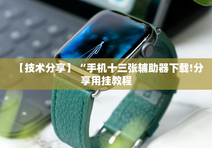 【技术分享】“手机十三张辅助器下载!分享用挂教程