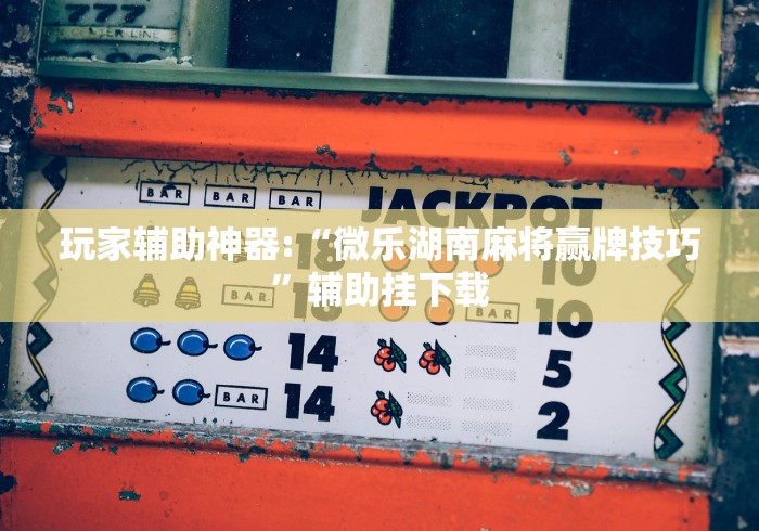 最新一款“微乐江苏麻将开挂器下载”开挂安装教程