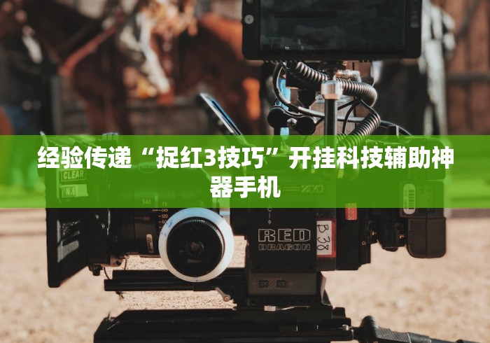 盘点一款“微乐卡五星辅助器安卓免费版”通用版下载教程