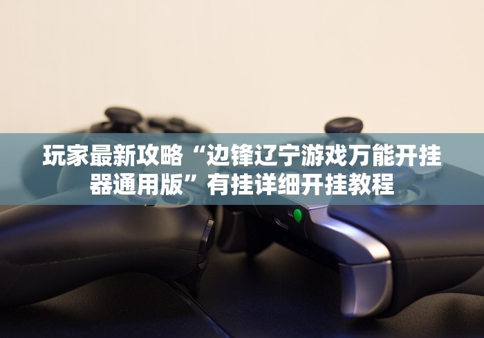 玩家最新攻略“边锋辽宁游戏万能开挂器通用版”有挂详细开挂教程