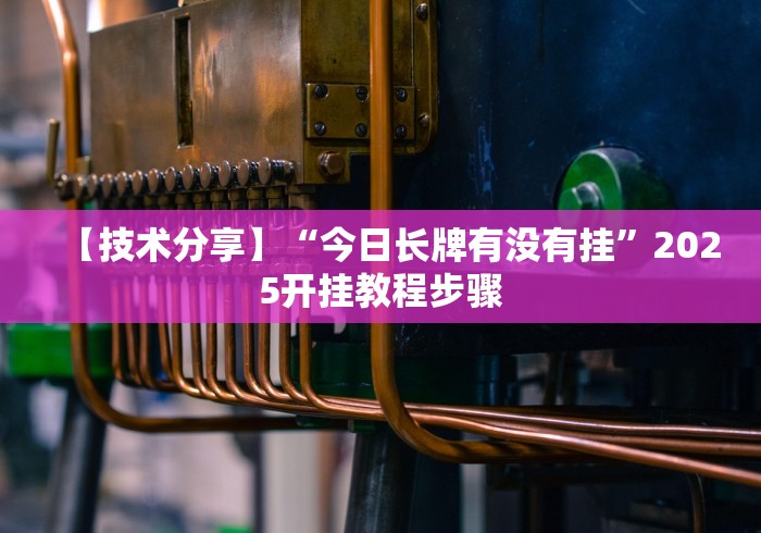 【技术分享】“今日长牌有没有挂”2025开挂教程步骤