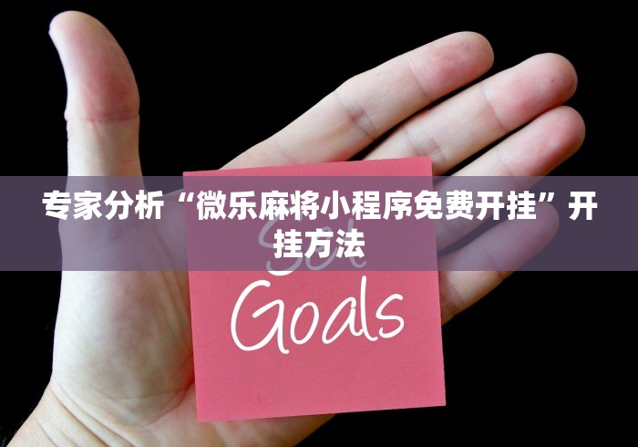 实测教程“十三道辅助器!专业师傅带你一起了解(确实有挂)