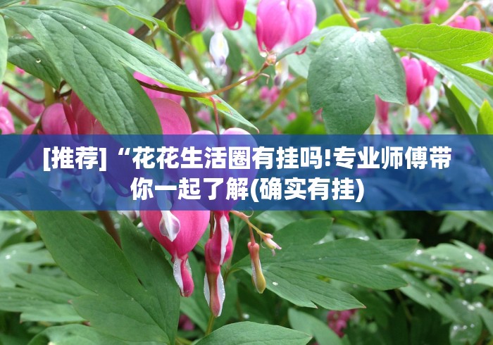 推荐辅助使用‘全民雀神麻将开挂神器”详细开挂教程