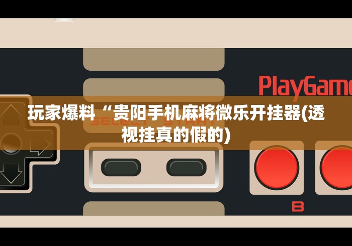 终于懂了“全民雀神万能开挂神器”开挂辅助详细步骤