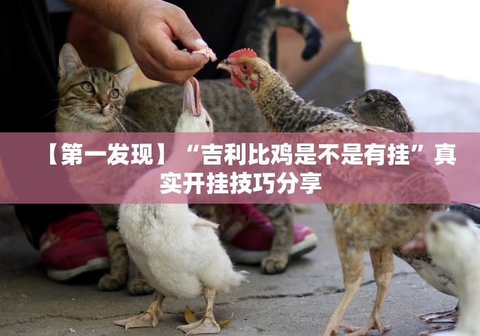 盘点一款“科乐麻将有没有挂[分享装挂详细步骤]