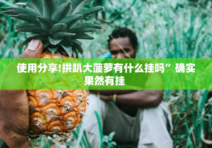 全新解说乐酷副厅能开挂吗”最新辅助详细教程