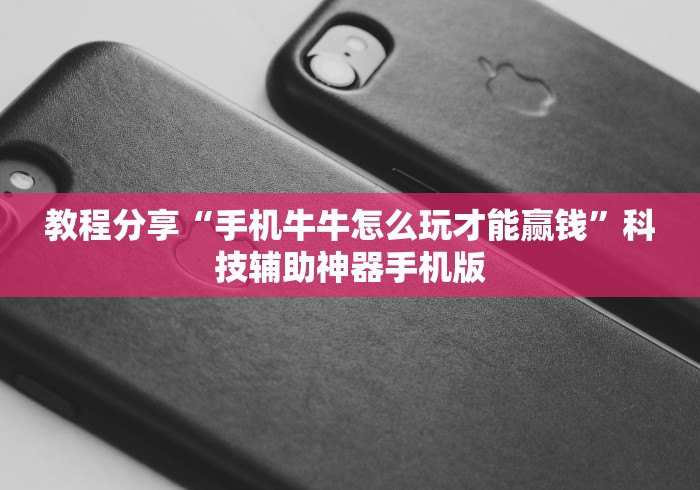 玩家必备十款精品乐清麻将有挂吗”详细辅助教程分享