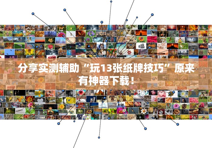 【重磅来袭】“十三张必胜组合”(透视曝光猫腻)