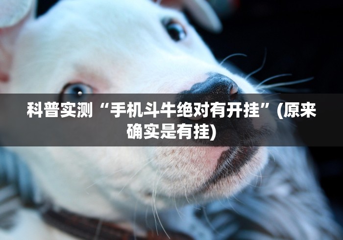 教程开挂辅助:“微乐麻将小程序万能开挂器”开挂辅助教程