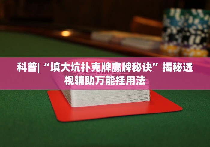 【第一发现】“情怀宜春麻将有挂吗”(原来确实是有插件) 