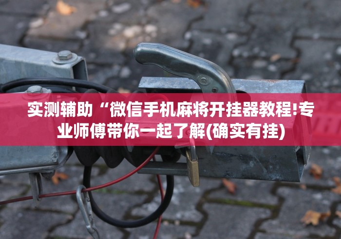 独家解答“微乐打麻将怎么赢(真的有挂) 独家解答“微乐打麻将怎么赢(真的有挂)