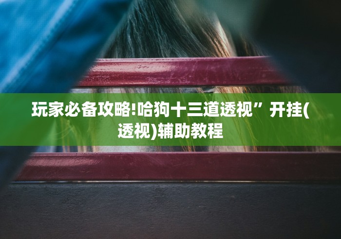 玩家必备攻略!哈狗十三道透视”开挂(透视)辅助教程