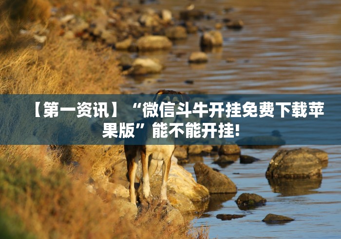 重大来袭“朱雀三缺一怎么提高胜率”(原来确实是有插件) 