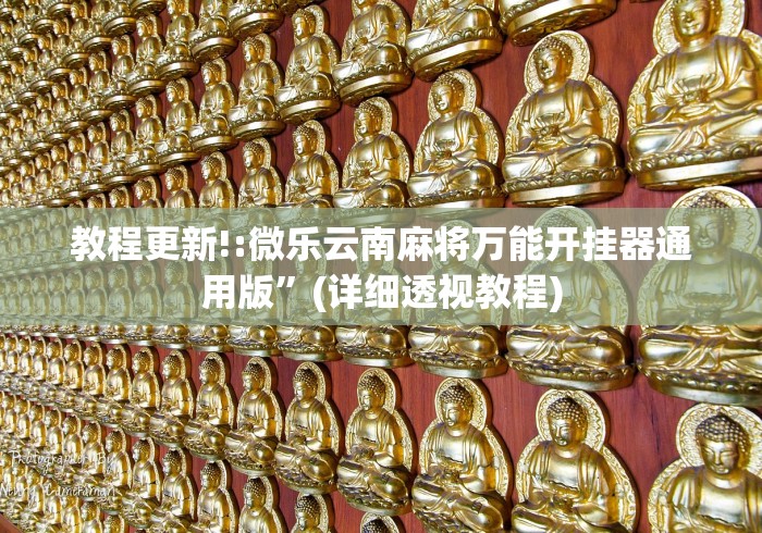 教程更新!:微乐云南麻将万能开挂器通用版”(详细透视教程)