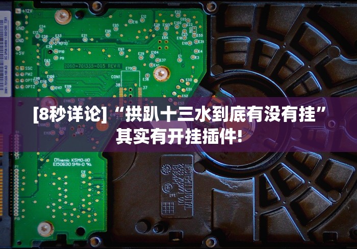 [8秒详论]“拱趴十三水到底有没有挂”其实有开挂插件!