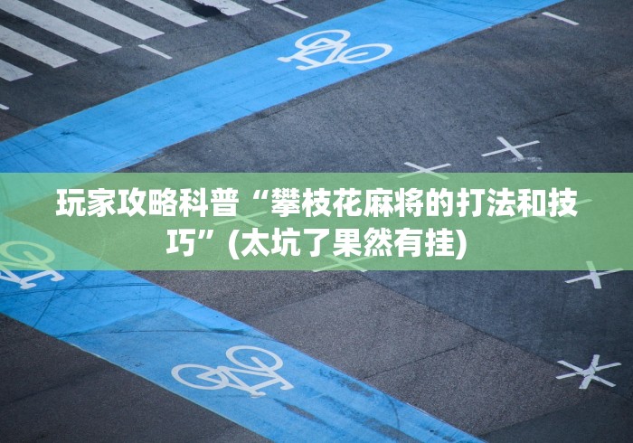 玩家攻略科普“攀枝花麻将的打法和技巧”(太坑了果然有挂)