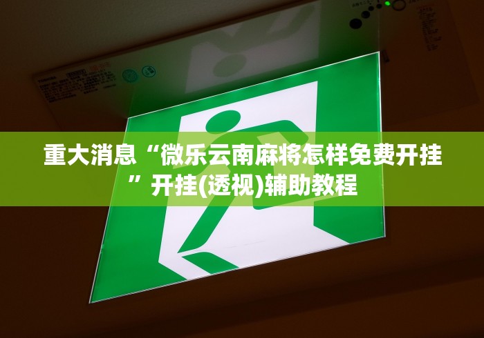 重大消息“微乐云南麻将怎样免费开挂”开挂(透视)辅助教程
