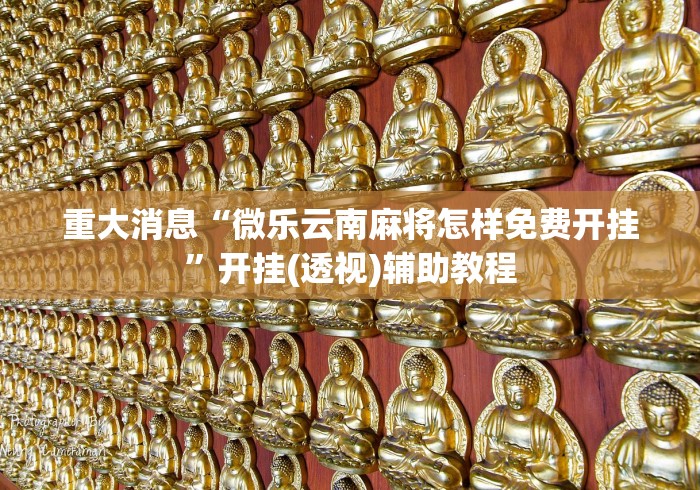 实测辅助“中至余干麻将万能开挂器”事实上真的有挂