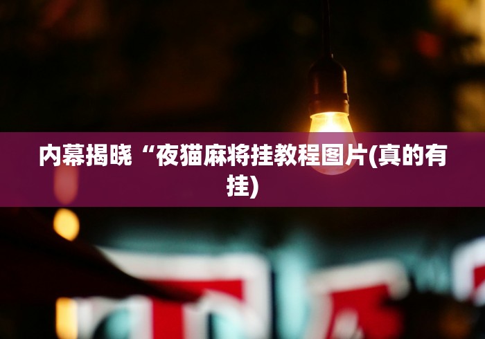 内幕揭晓“夜猫麻将挂教程图片(真的有挂)