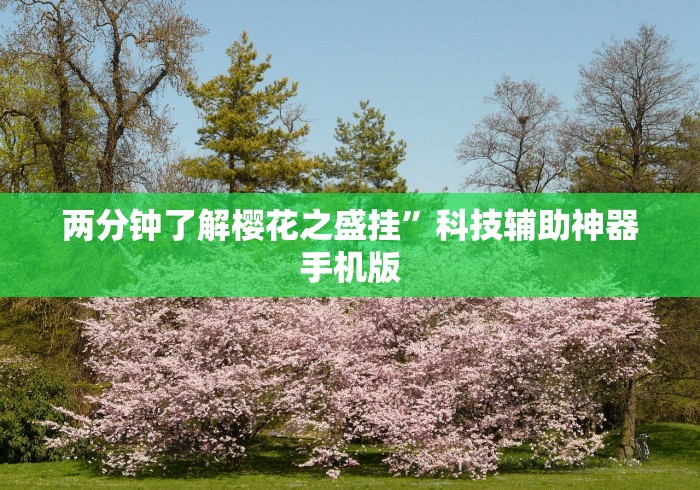 两分钟了解樱花之盛挂”科技辅助神器手机版