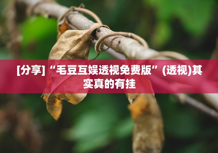 分析必看“微信麻将挂是真的吗”原来可以开挂