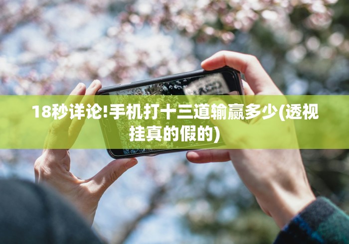18秒详论!手机打十三道输赢多少(透视挂真的假的)