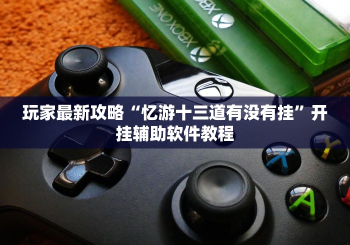 玩家最新攻略“忆游十三道有没有挂”开挂辅助软件教程