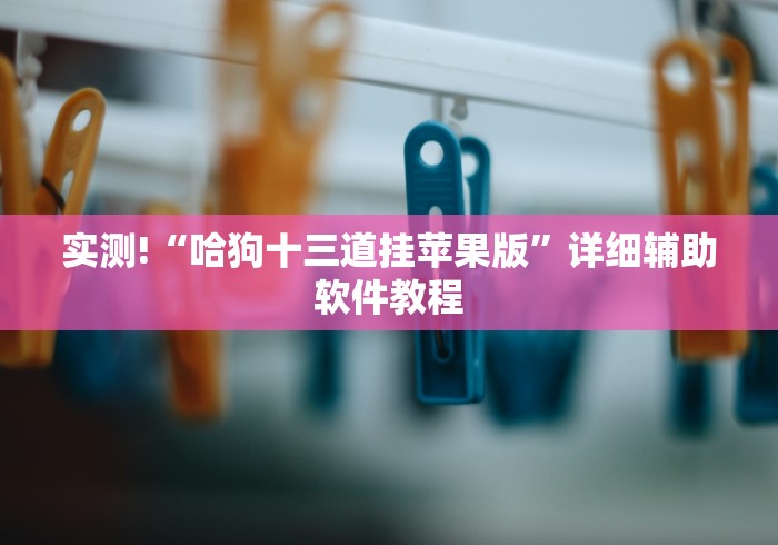 实测!“哈狗十三道挂苹果版”详细辅助软件教程