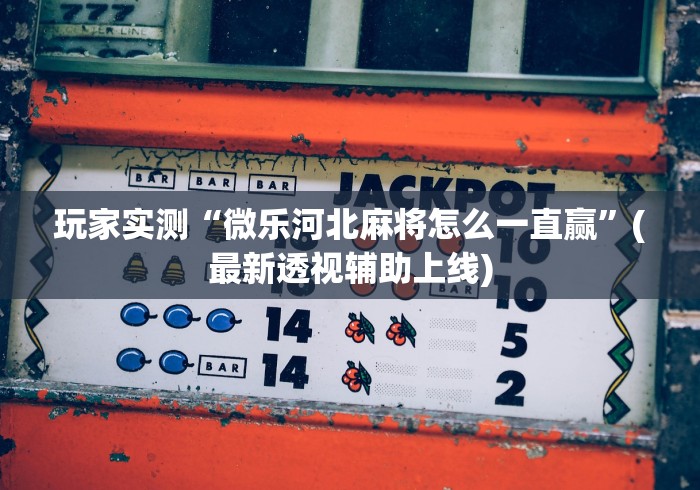 玩家实测“微乐河北麻将怎么一直赢”(最新透视辅助上线)