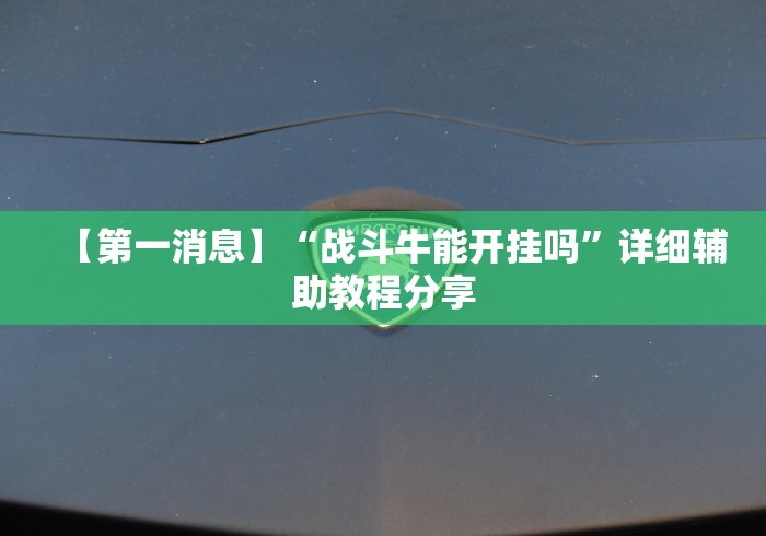 【第一消息】“战斗牛能开挂吗”详细辅助教程分享