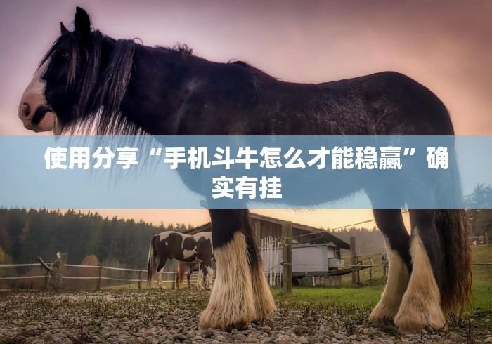 使用分享“手机斗牛怎么才能稳赢”确实有挂