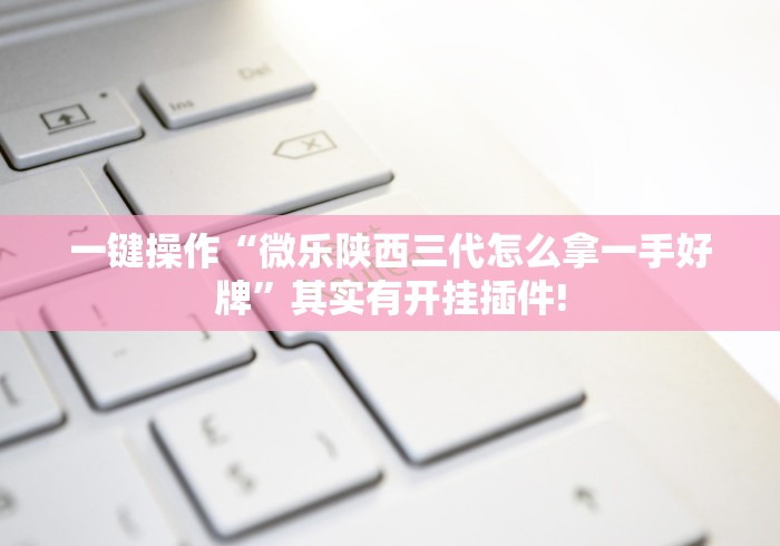 一键操作“微乐陕西三代怎么拿一手好牌”其实有开挂插件!