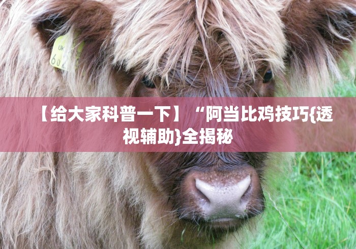 【给大家科普一下】“阿当比鸡技巧{透视辅助}全揭秘