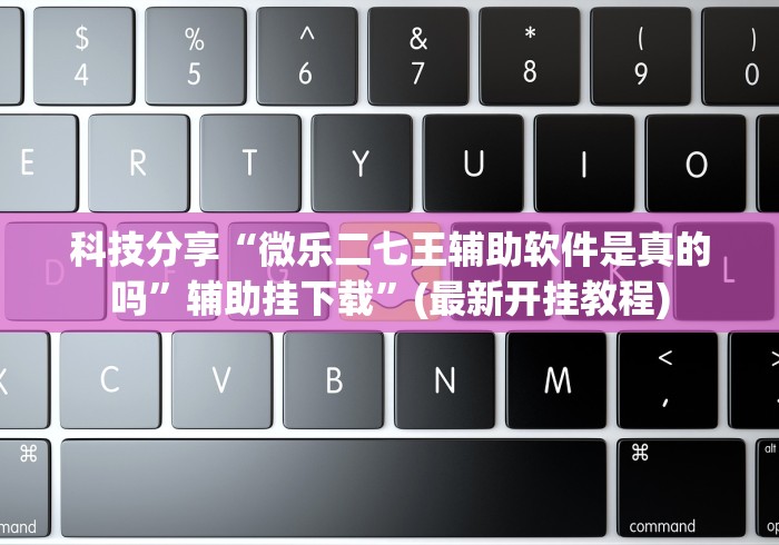 科技分享“微乐二七王辅助软件是真的吗”辅助挂下载”(最新开挂教程)