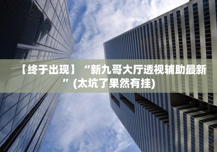 【终于出现】“新九哥大厅透视辅助最新”(太坑了果然有挂)