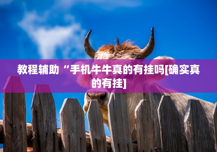 教程辅助“手机牛牛真的有挂吗[确实真的有挂]