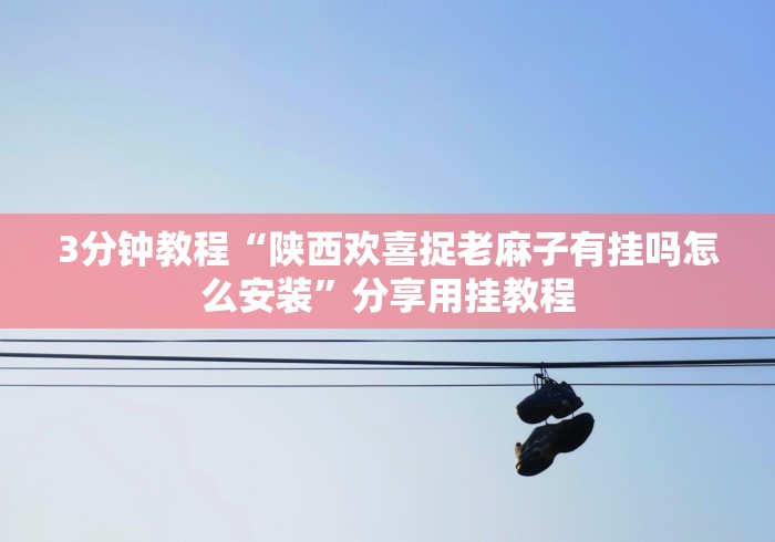 3分钟教程“陕西欢喜捉老麻子有挂吗怎么安装”分享用挂教程