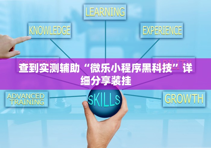 查到实测辅助“微乐小程序黑科技”详细分享装挂