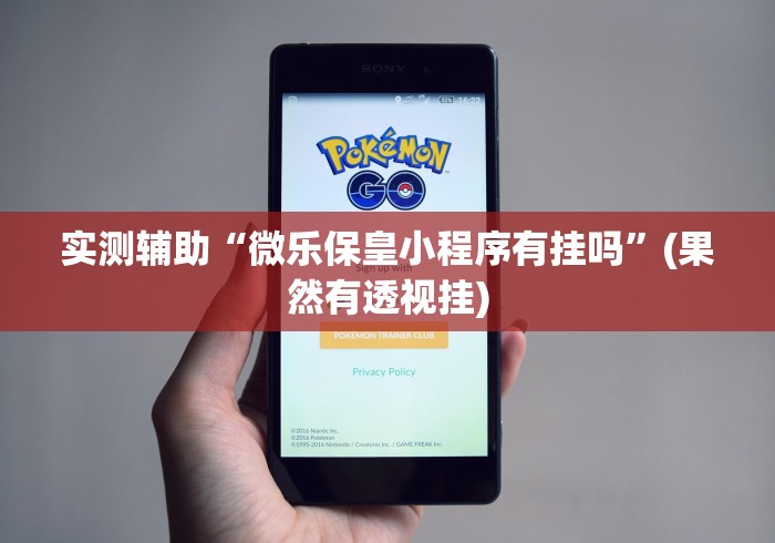 实测辅助“微乐保皇小程序有挂吗”(果然有透视挂)