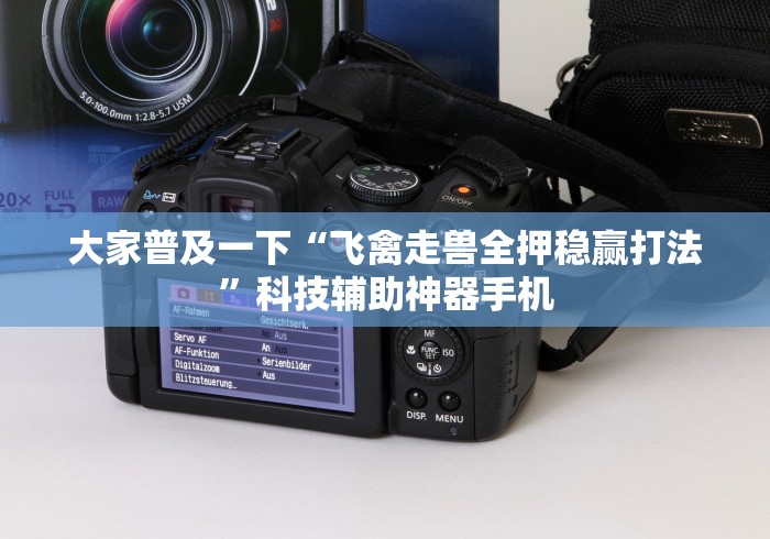 大家普及一下“飞禽走兽全押稳赢打法”科技辅助神器手机
