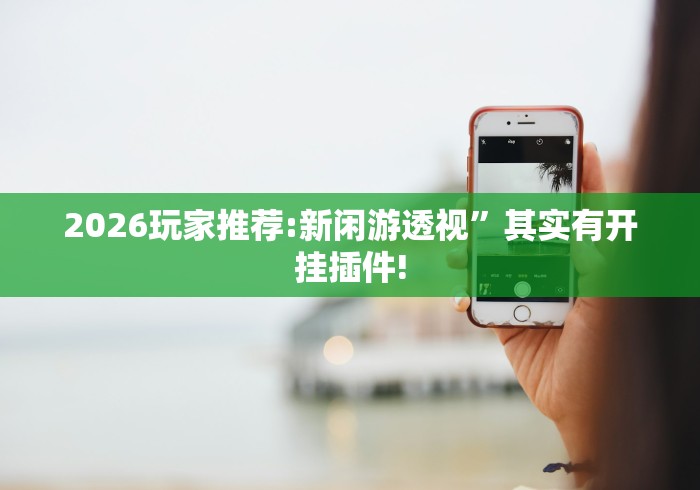 2026玩家推荐:新闲游透视”其实有开挂插件!
