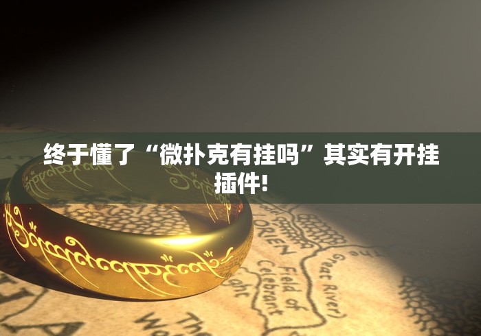 终于懂了“微扑克有挂吗”其实有开挂插件!