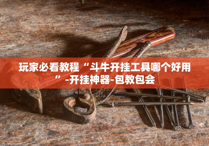 玩家必看教程“斗牛开挂工具哪个好用”-开挂神器-包教包会