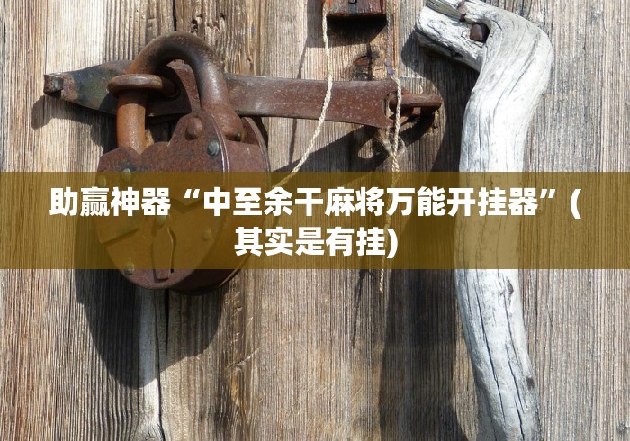 助赢神器“中至余干麻将万能开挂器”(其实是有挂)