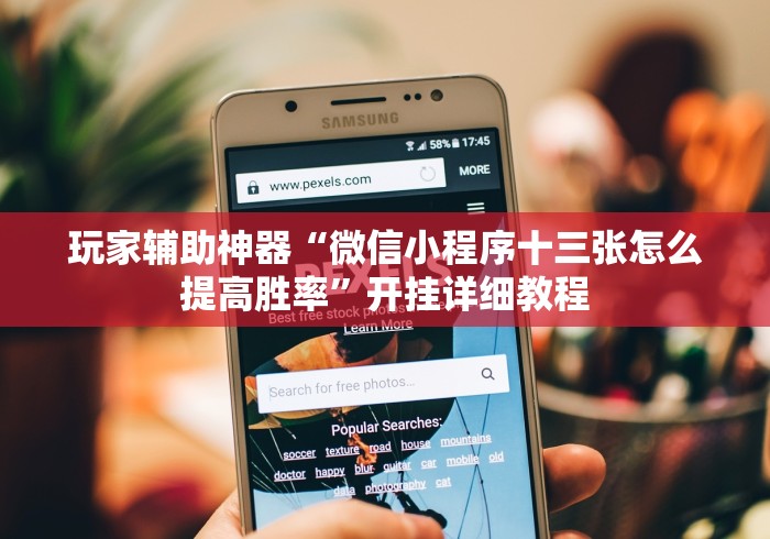 玩家辅助神器“微信小程序十三张怎么提高胜率”开挂详细教程