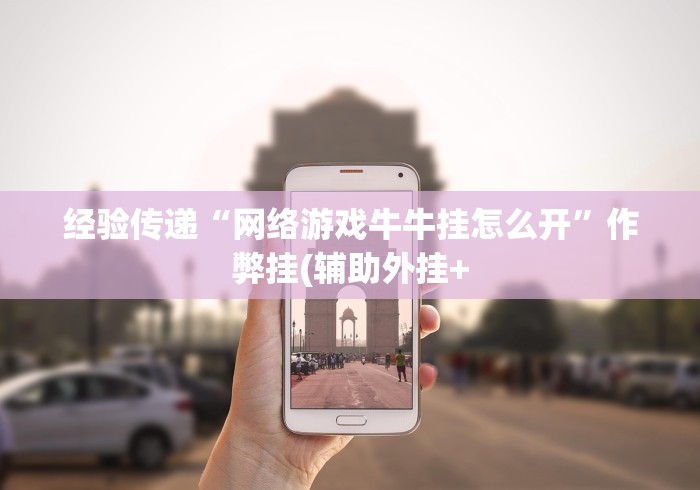 经验传递“网络游戏牛牛挂怎么开”作弊挂(辅助外挂+